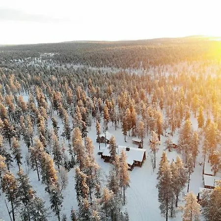 Aurora * Saariselkä